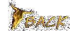 back.jpg (10700 bytes)