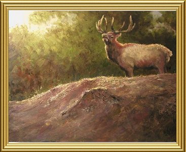 elkws.jpg (91839 bytes)