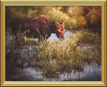 moose.jpg (45607 bytes)